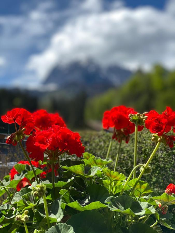 Chalet Tirolia Kirchdorf in Tirol Kültér fotó